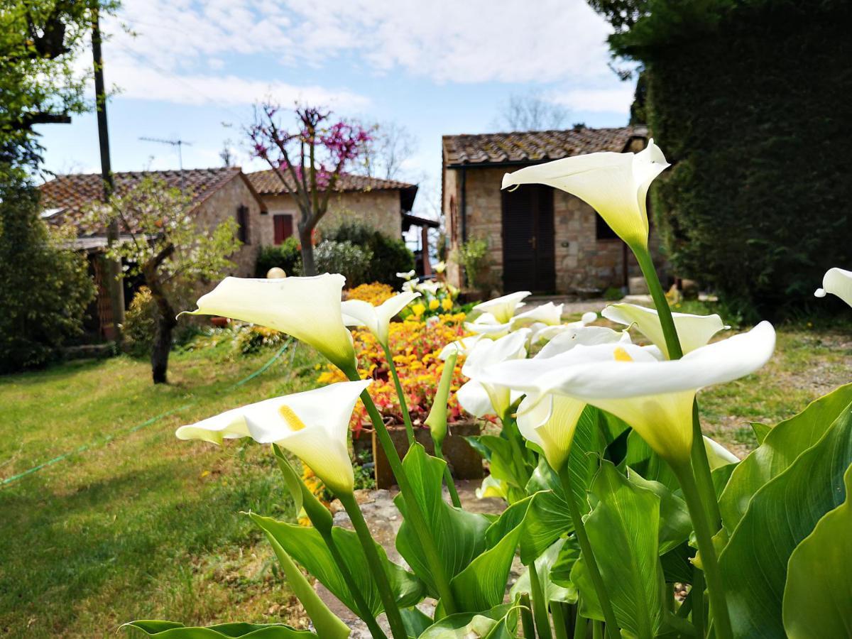 Agriturismo Grecinella Casole d'Elsa Exterior photo